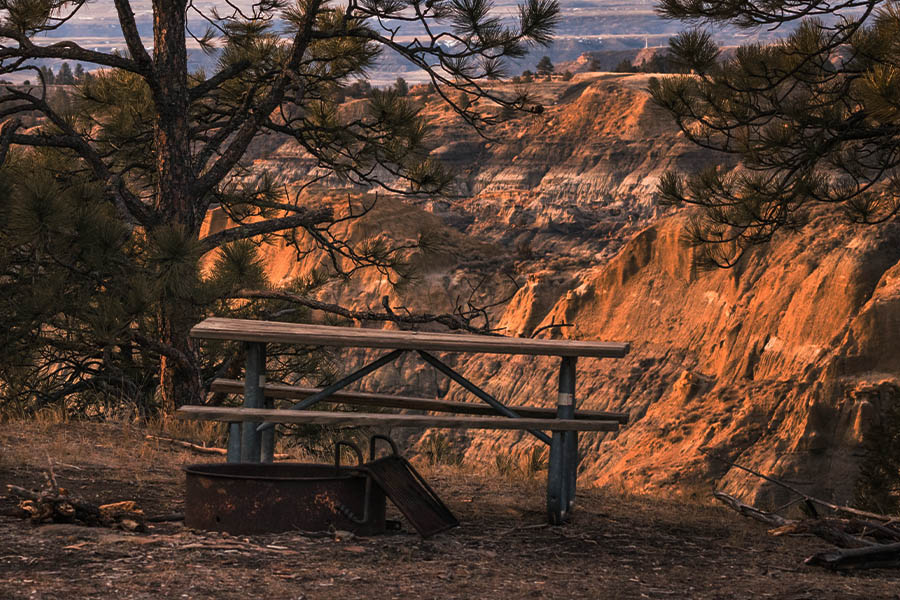 Alt text placeholder