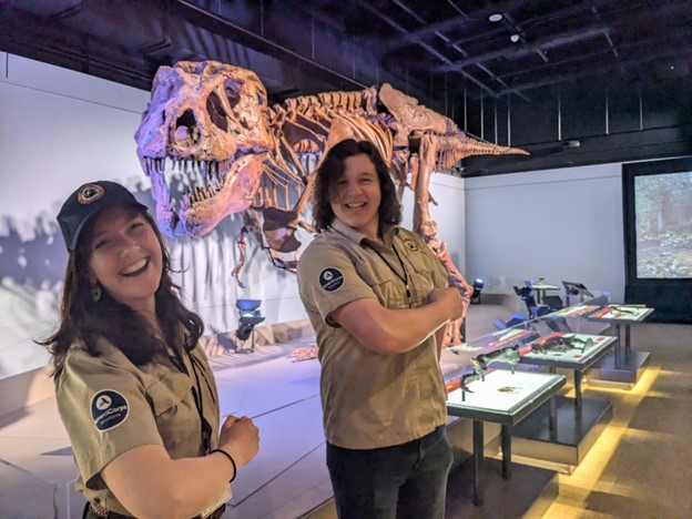 Alt text placeholder